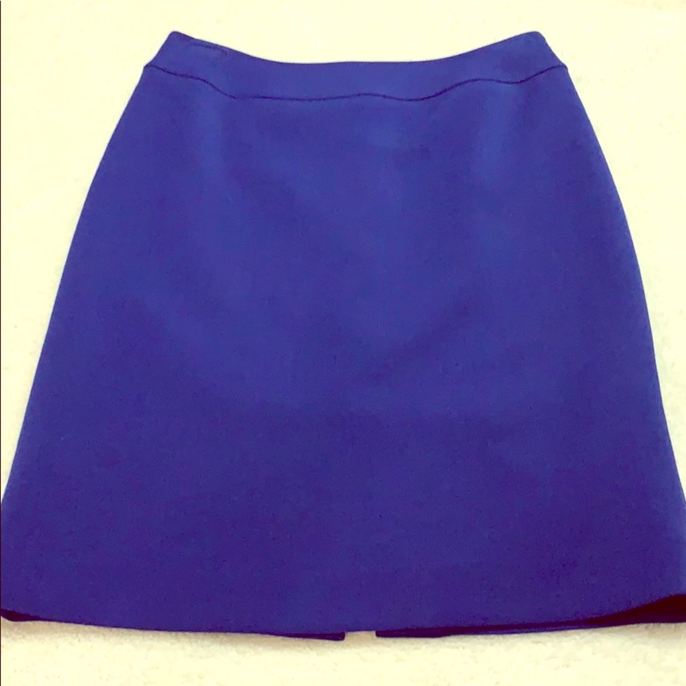 Blue Dress Skirt by Tahari
